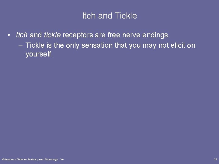 Itch and Tickle • Itch and tickle receptors are free nerve endings. – Tickle
