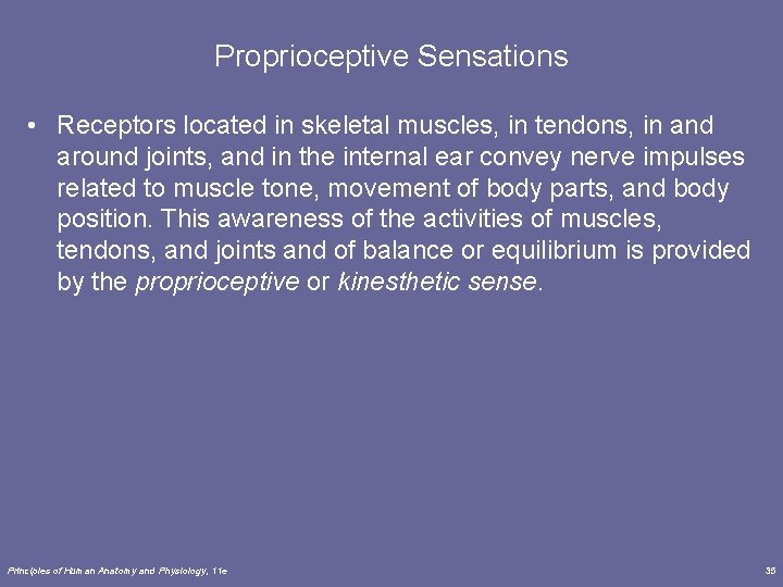 Proprioceptive Sensations • Receptors located in skeletal muscles, in tendons, in and around joints,