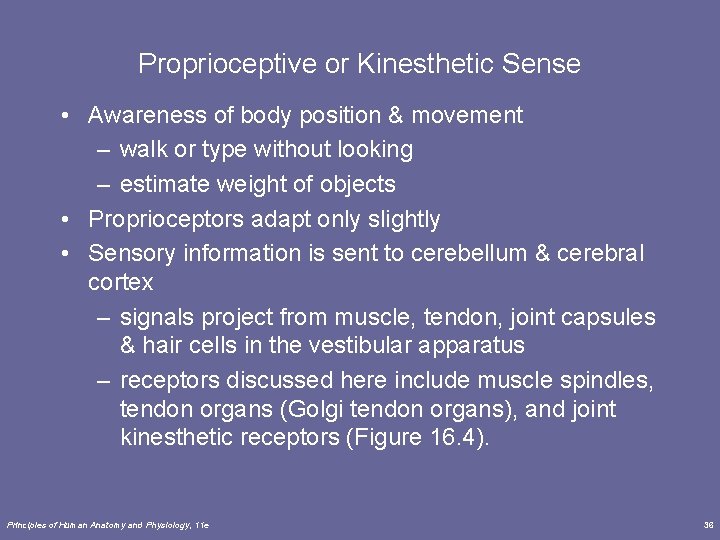 Proprioceptive or Kinesthetic Sense • Awareness of body position & movement – walk or Proprioceptive or Kinesthetic Sense • Awareness of body position & movement – walk or