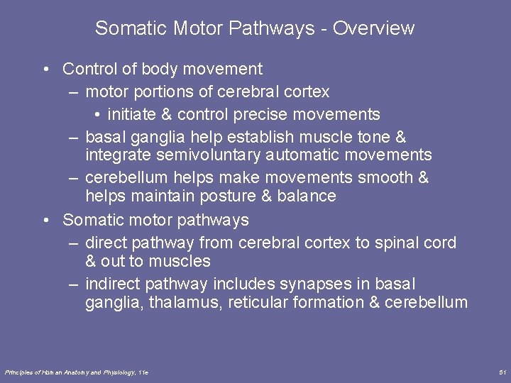 Somatic Motor Pathways - Overview • Control of body movement – motor portions of