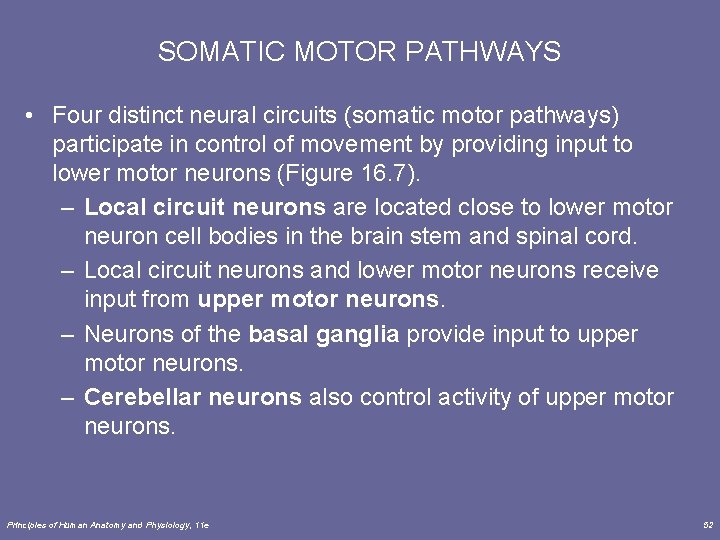 SOMATIC MOTOR PATHWAYS • Four distinct neural circuits (somatic motor pathways) participate in control