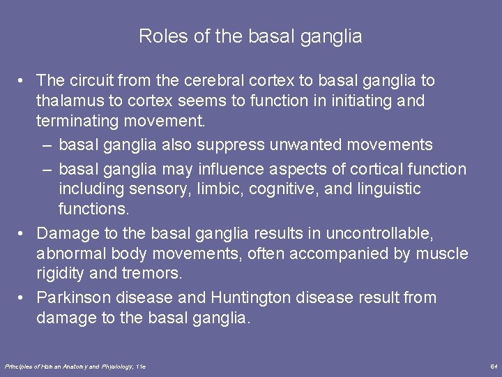 Roles of the basal ganglia • The circuit from the cerebral cortex to basal