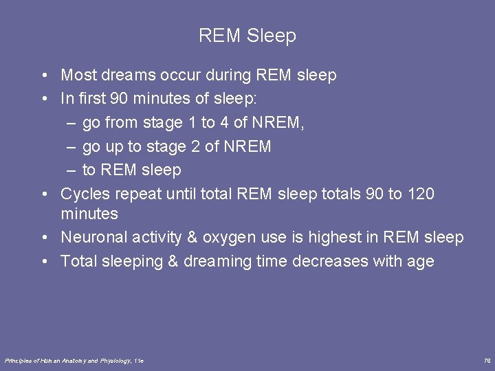 REM Sleep • Most dreams occur during REM sleep • In first 90 minutes
