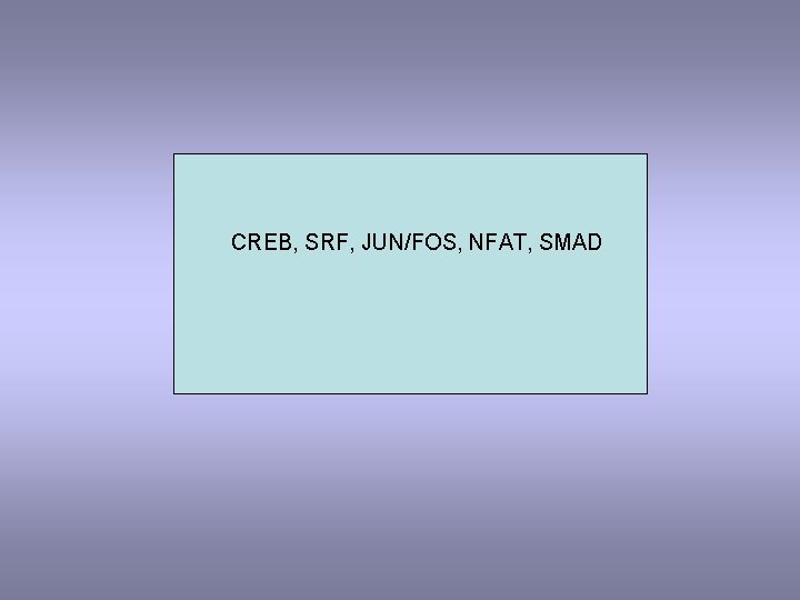 CREB, SRF, JUN/FOS, NFAT, SMAD 