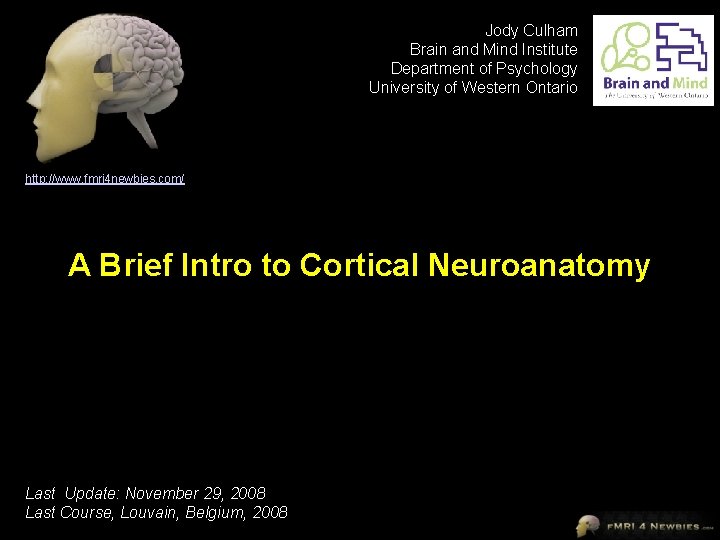 Jody Culham Brain and Mind Institute Department of Psychology University of Western Ontario http: