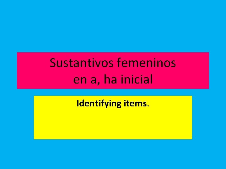 Sustantivos femeninos en a, ha inicial Identifying items. 