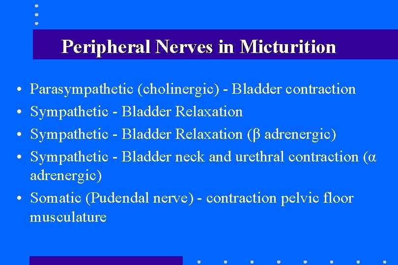 Peripheral Nerves in Micturition • • Parasympathetic (cholinergic) - Bladder contraction Sympathetic - Bladder Peripheral Nerves in Micturition • • Parasympathetic (cholinergic) - Bladder contraction Sympathetic - Bladder