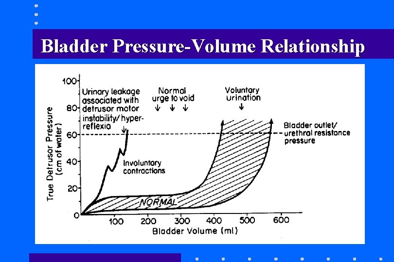 Bladder Pressure-Volume Relationship Bladder Pressure-Volume Relationship