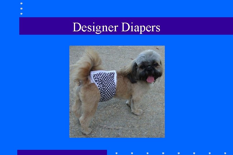 Designer Diapers Designer Diapers