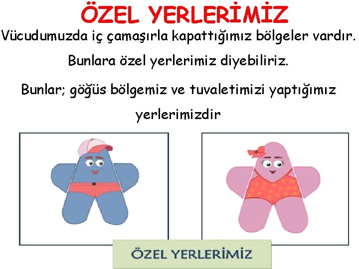 ÖZEL YERLERİMİZ Vücudumuzda iç çamaşırla kapattığımız bölgeler vardır. Bunlara özel yerlerimiz diyebiliriz. Bunlar; göğüs