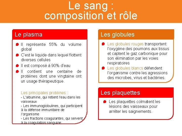 Le sang : composition et rôle Le plasma Il représente 55% du volume global