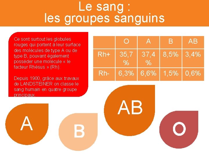 Le sang : les groupes sanguins Ce sont surtout les globules rouges qui portent