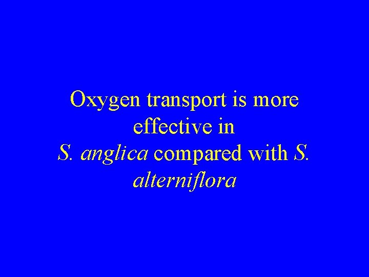 Oxygen transport is more effective in S. anglica compared with S. alterniflora 