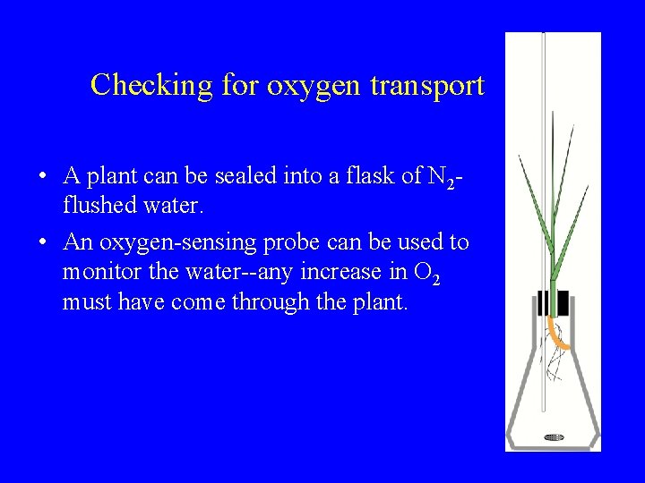 Checking for oxygen transport • A plant can be sealed into a flask of