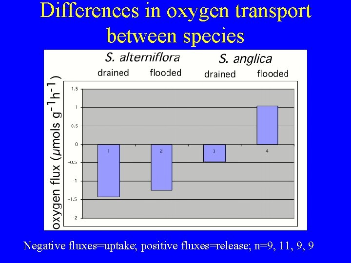 Differences in oxygen transport between species Negative fluxes=uptake; positive fluxes=release; n=9, 11, 9, 9