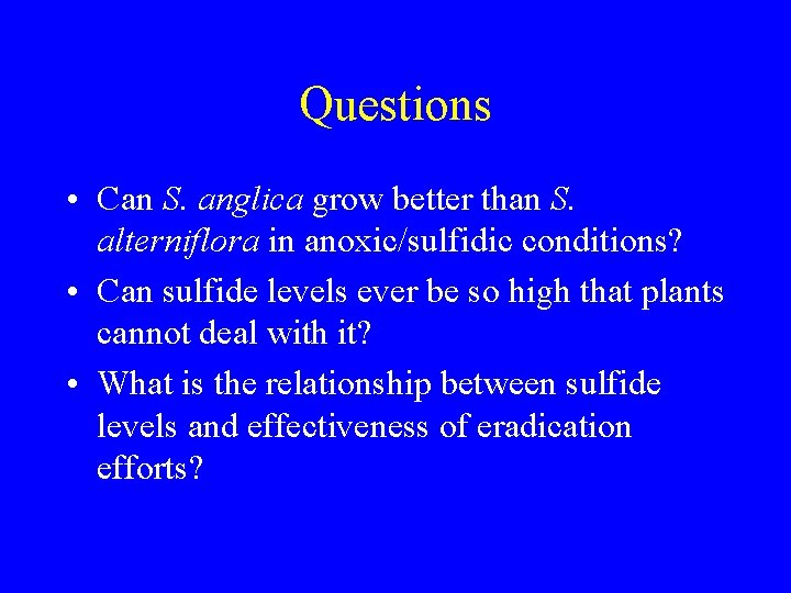 Questions • Can S. anglica grow better than S. alterniflora in anoxic/sulfidic conditions? •