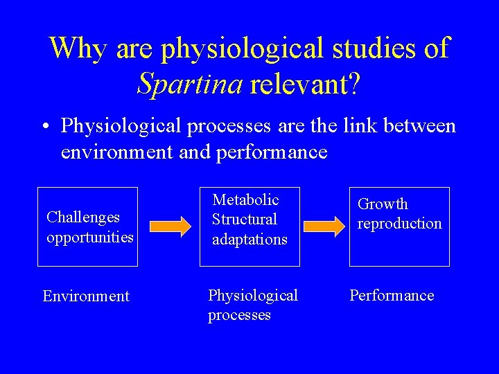 Why are physiological studies of Spartina relevant? • Physiological processes are the link between