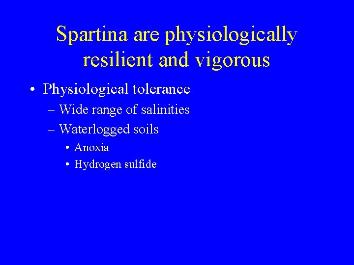 Spartina are physiologically resilient and vigorous • Physiological tolerance – Wide range of salinities