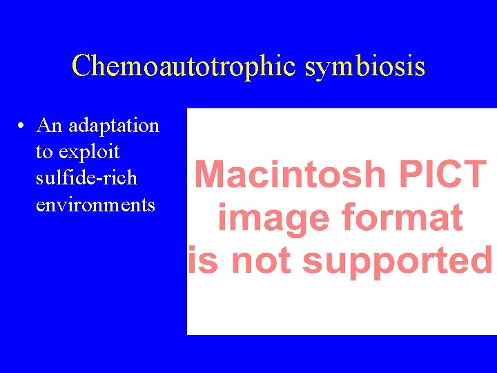 Chemoautotrophic symbiosis • An adaptation to exploit sulfide-rich environments 