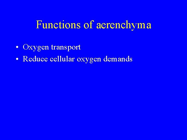 Functions of aerenchyma • Oxygen transport • Reduce cellular oxygen demands 