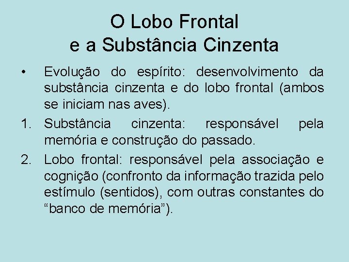 O Lobo Frontal e a Substância Cinzenta • Evolução do espírito: desenvolvimento da substância