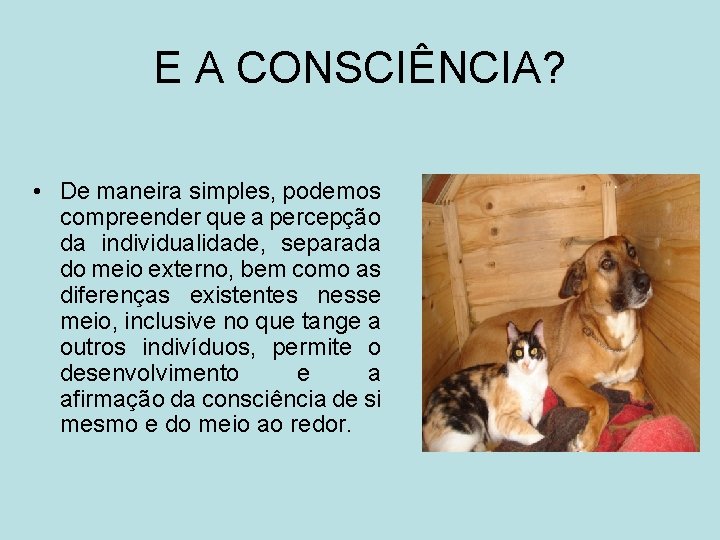 E A CONSCIÊNCIA? • De maneira simples, podemos compreender que a percepção da individualidade,