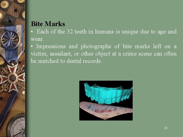 Bite Marks • Each of the 32 teeth in humans is unique due to
