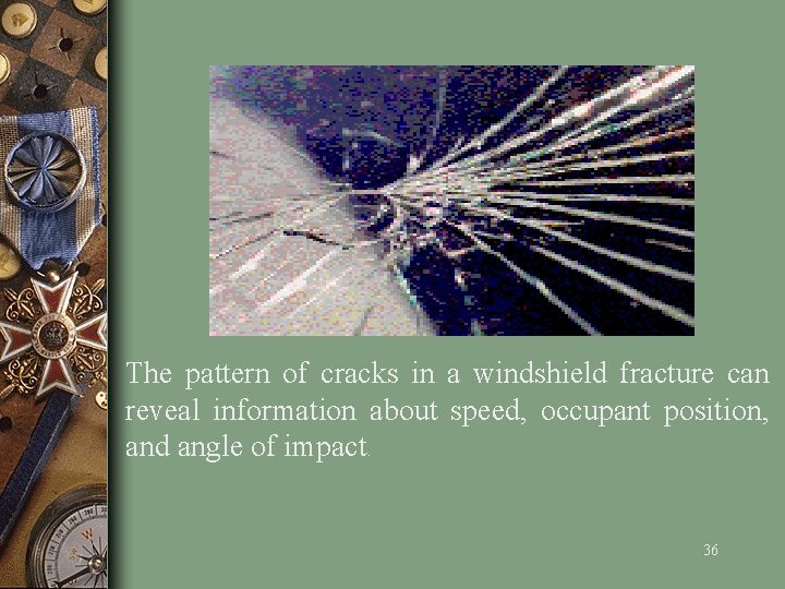 The pattern of cracks in a windshield fracture can reveal information about speed, occupant