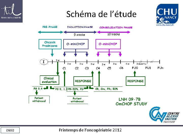 Schéma de l’étude CN 002 Printemps de l’oncogériatrie 2012 Schéma de l’étude CN 002 Printemps de l’oncogériatrie 2012