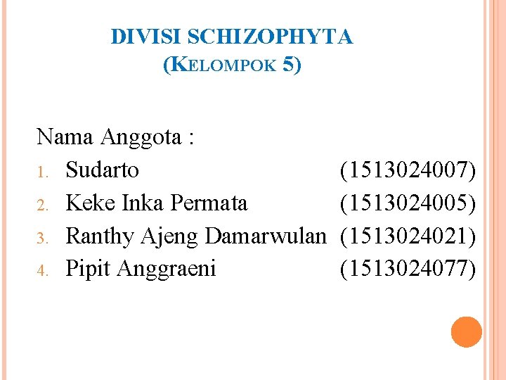 DIVISI SCHIZOPHYTA (KELOMPOK 5) Nama Anggota : 1. Sudarto 2. Keke Inka Permata 3.