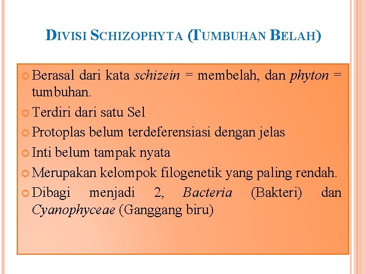 DIVISI SCHIZOPHYTA (TUMBUHAN BELAH) Berasal dari kata schizein = membelah, dan phyton = tumbuhan.