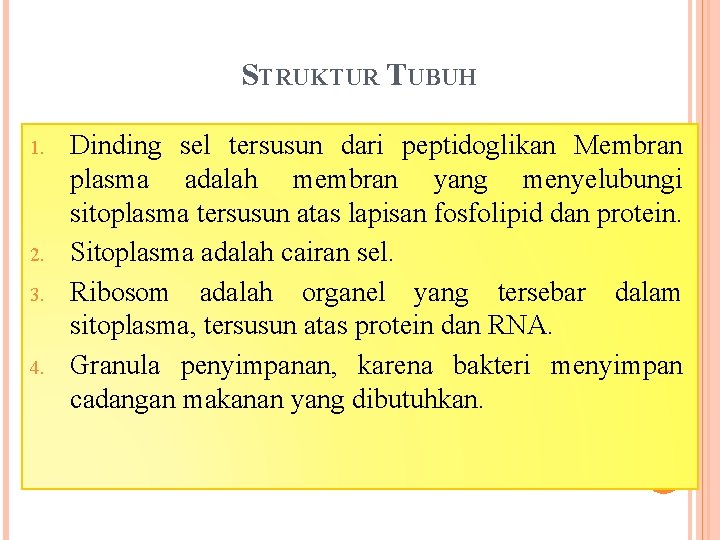 STRUKTUR TUBUH 1. 2. 3. 4. Dinding sel tersusun dari peptidoglikan Membran plasma adalah