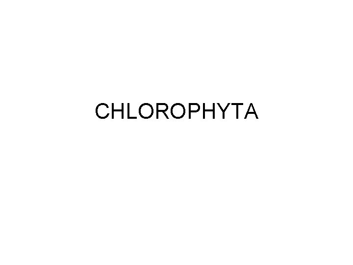 CHLOROPHYTA 