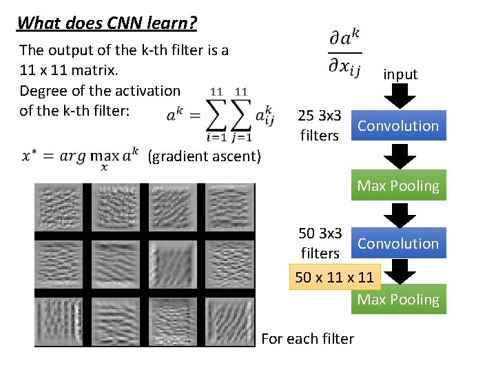 What does CNN learn? The output of the k-th filter is a 11 x