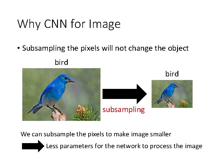 Why CNN for Image • Subsampling the pixels will not change the object bird