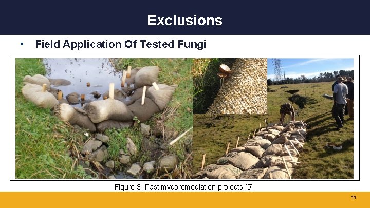 Exclusions • Field Application Of Tested Fungi Figure 3. Past mycoremediation projects [5]. 11