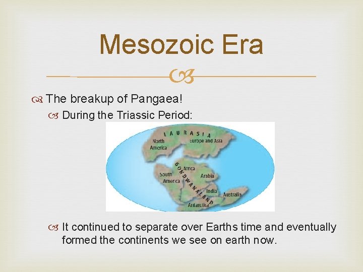 Mesozoic Era The breakup of Pangaea! During the Triassic Period: It continued to separate