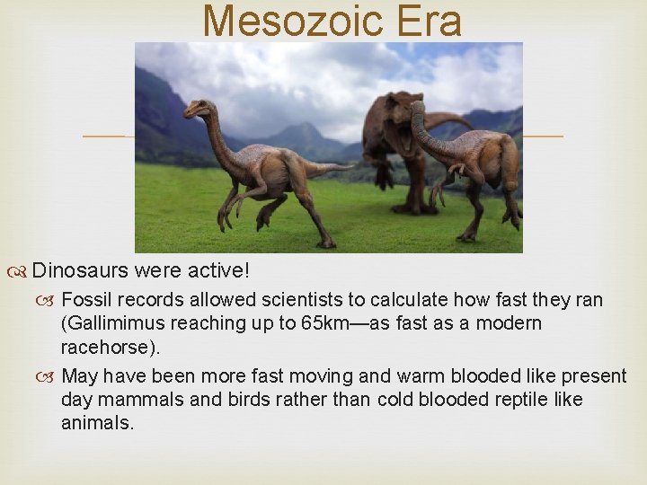 Mesozoic Era Dinosaurs were active! Fossil records allowed scientists to calculate how fast they