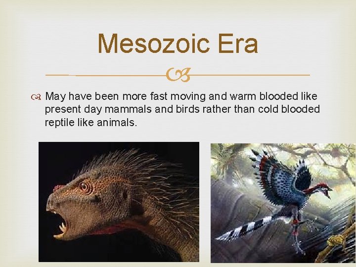 Mesozoic Era May have been more fast moving and warm blooded like present day