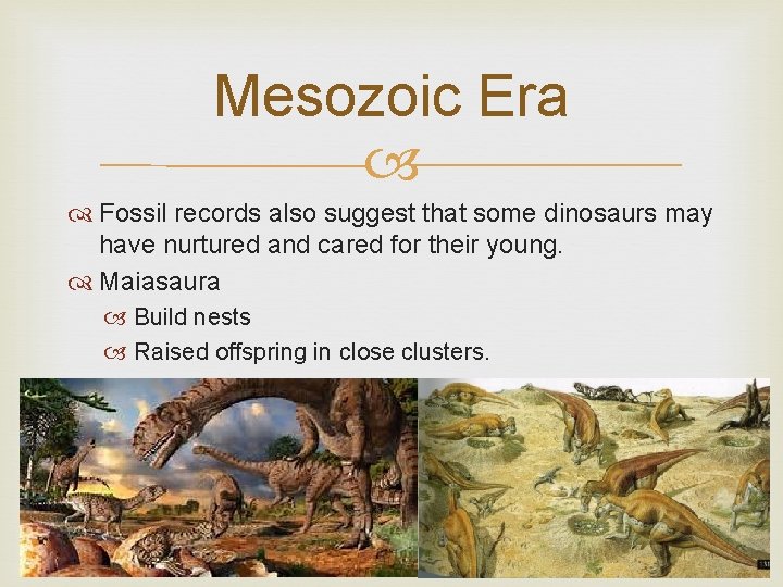 Mesozoic Era Fossil records also suggest that some dinosaurs may have nurtured and cared