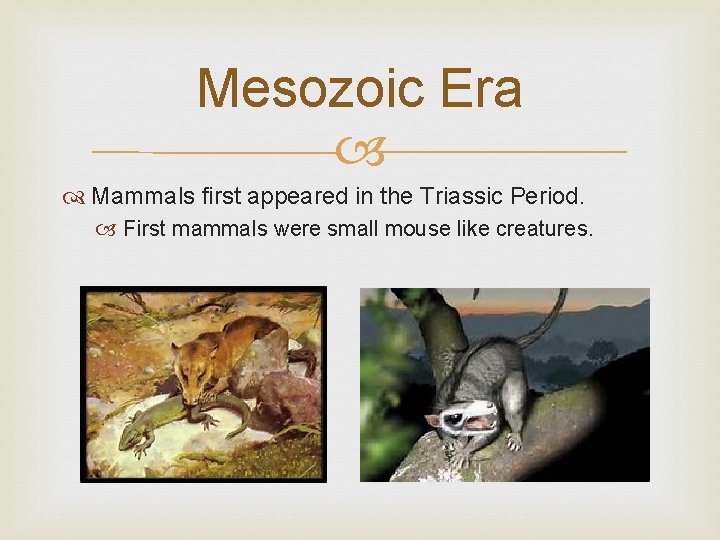 Mesozoic Era Mammals first appeared in the Triassic Period. First mammals were small mouse