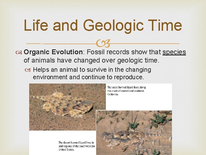 Life and Geologic Time Organic Evolution: Fossil records show that species of animals have