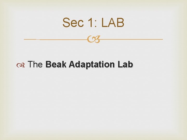 Sec 1: LAB The Beak Adaptation Lab 