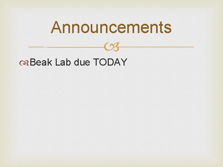 Announcements Beak Lab due TODAY 