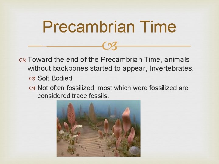 Precambrian Time Toward the end of the Precambrian Time, animals without backbones started to