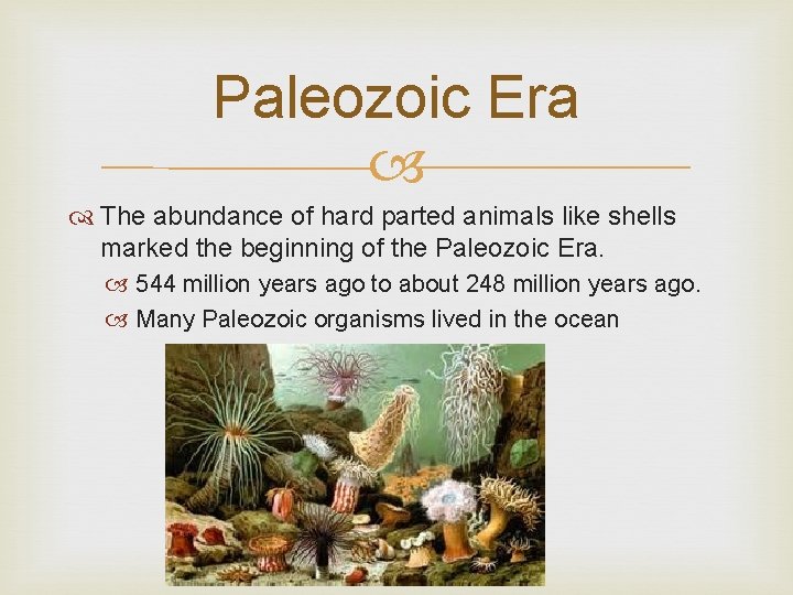 Paleozoic Era The abundance of hard parted animals like shells marked the beginning of