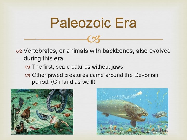 Paleozoic Era Vertebrates, or animals with backbones, also evolved during this era. The first,