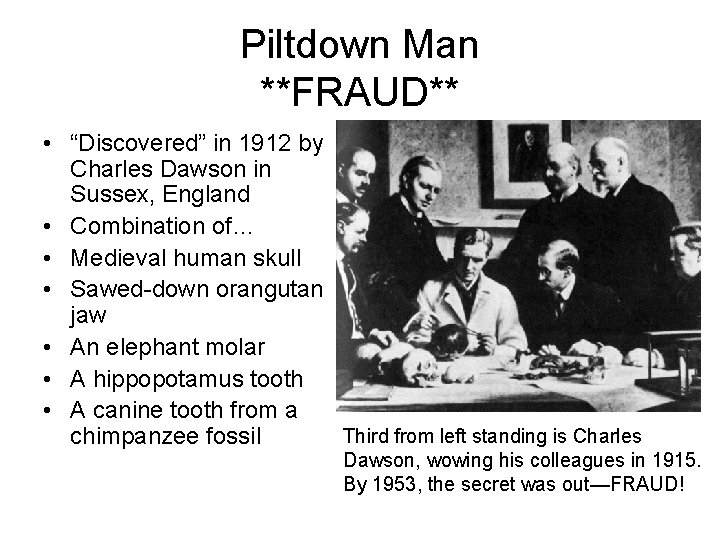 Piltdown Man **FRAUD** • “Discovered” in 1912 by Charles Dawson in Sussex, England •