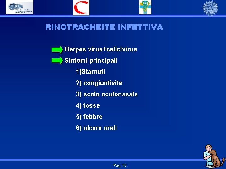 RINOTRACHEITE INFETTIVA Herpes virus+calicivirus Sintomi principali 1)Starnuti 2) congiuntivite 3) scolo oculonasale 4) tosse