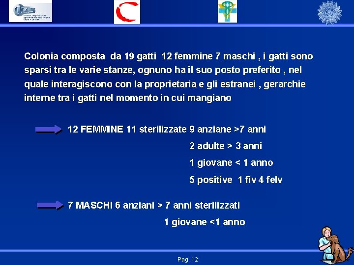 Colonia composta da 19 gatti 12 femmine 7 maschi , i gatti sono sparsi